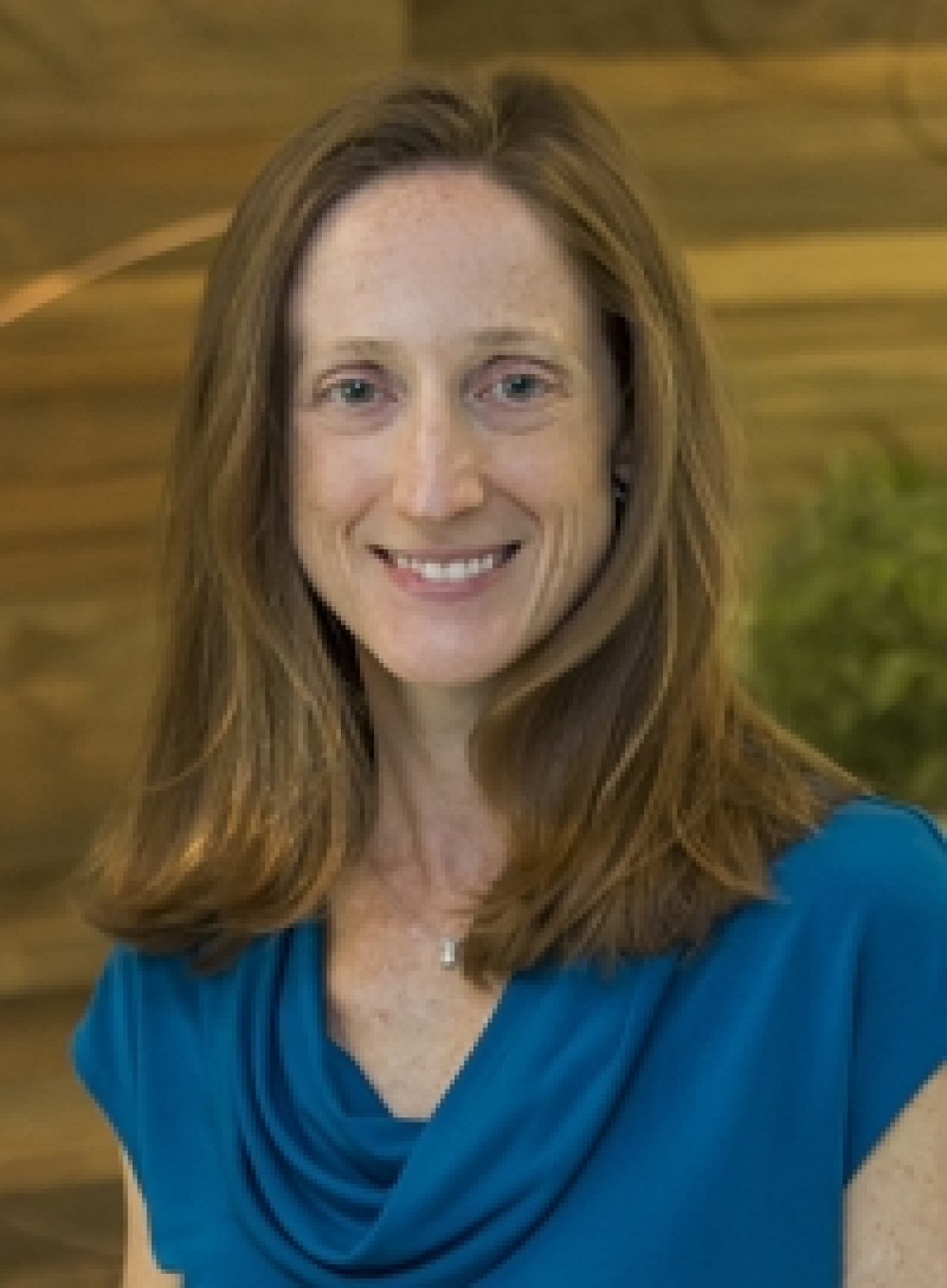 Jamie Van Mourik, ORISE Science, Technology, and Policy Fellow, Building Technologies Office, U.S. Department of Energy.