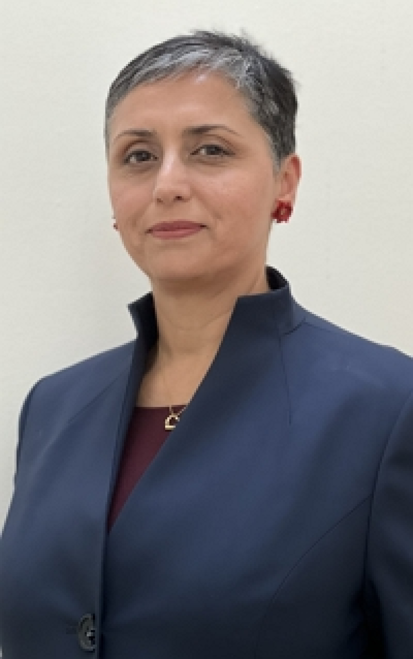 Smita Chandra, Thomas Founder and Principal, Energy Shrink.