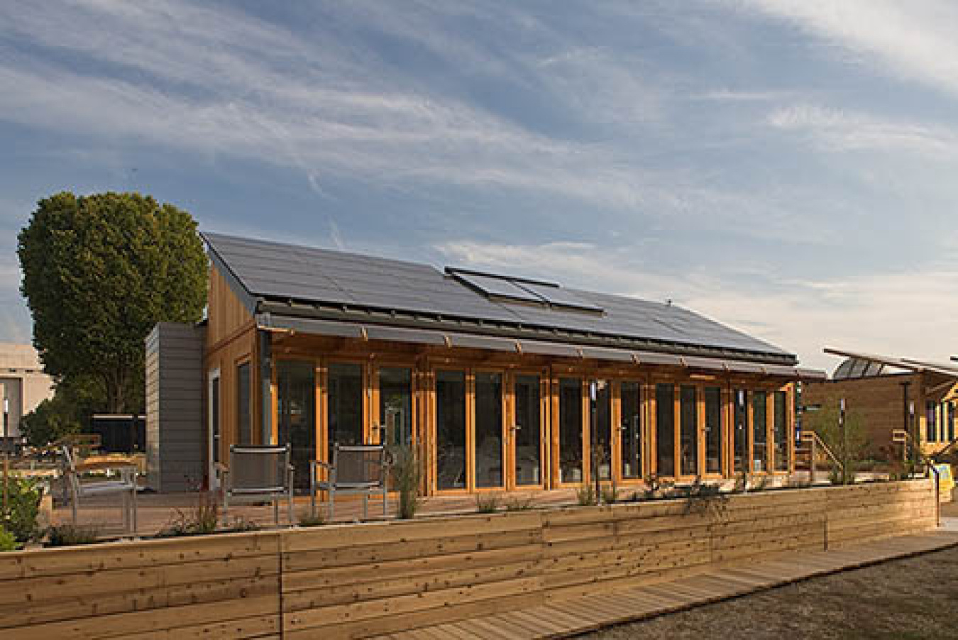 Exterior of the New York team's Build Challenge house, with vertical window panels along the front, a slanted roof with solar panels, and a wooden hedge along the front of the plot.