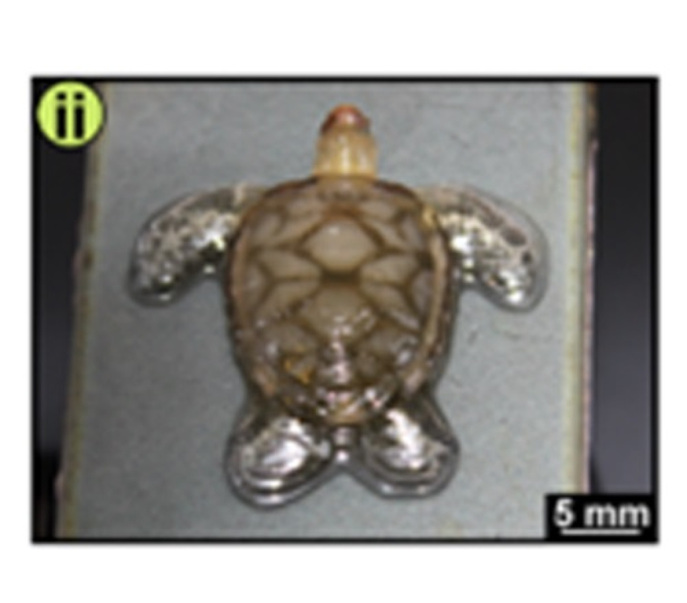 Side by side images of 3D printed objects