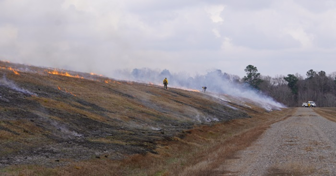 U.S. Forest Service firefighters conducting prescribed burns at the Savannah River Site.