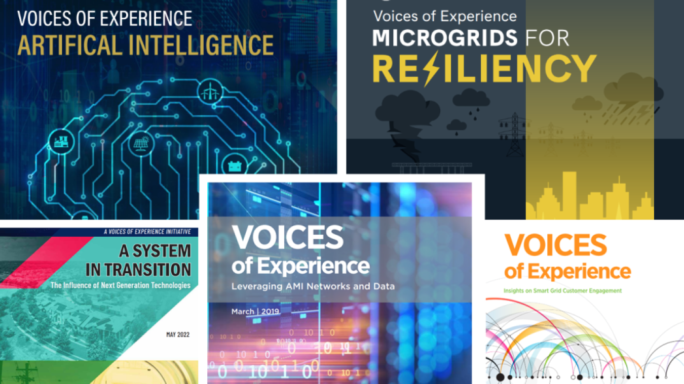 Voices Report Graphic
