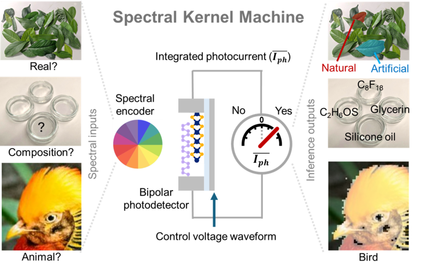 The new sensors, called spectral kernel machines (SKMs) convert optical spectra into diverse environmental knowledge at high speed with low power consumption.