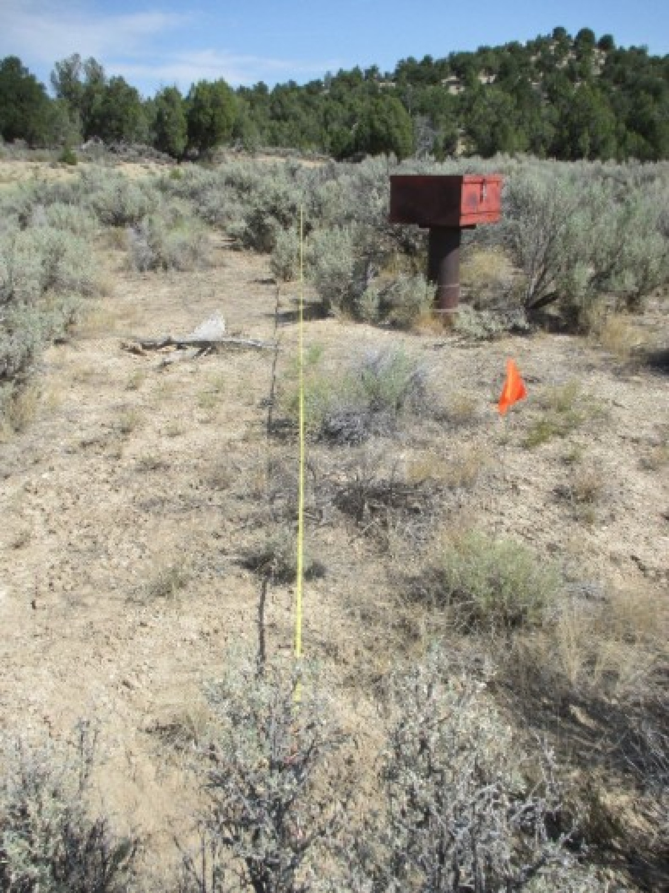 Bronco Site