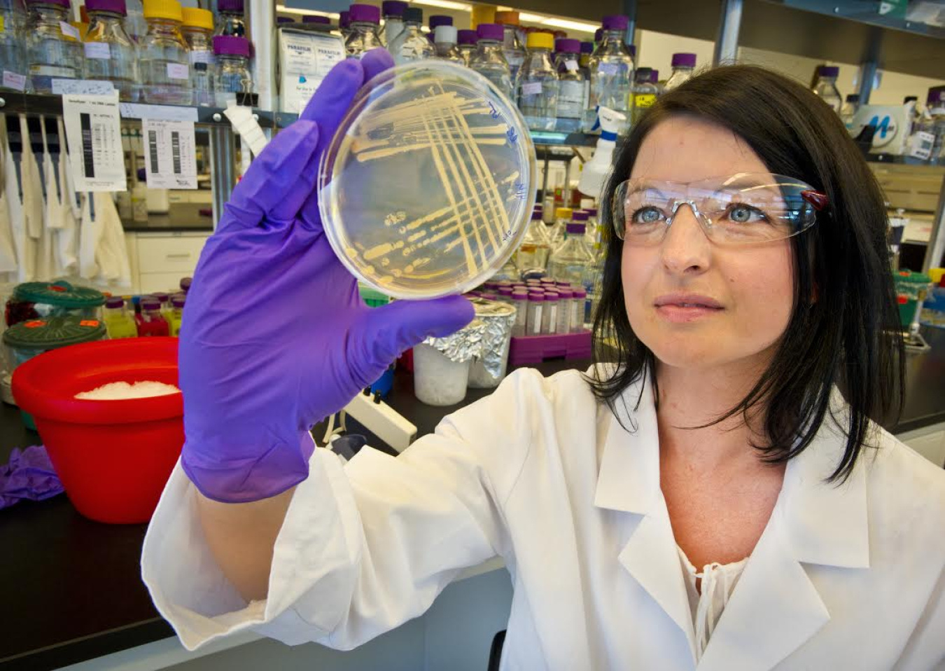 Scientist works in lab