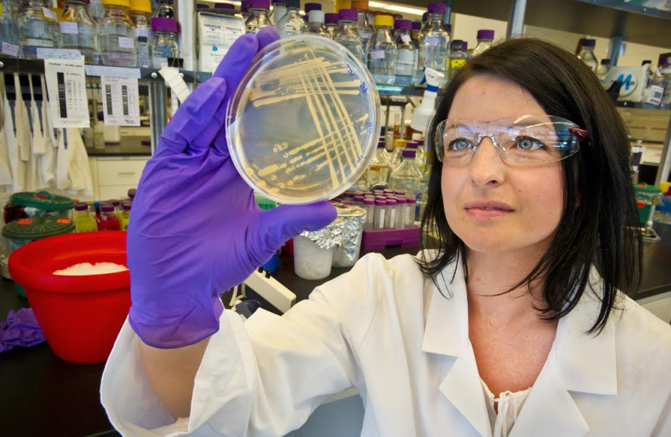 Researcher in a laboratory setting examining a petri dish
