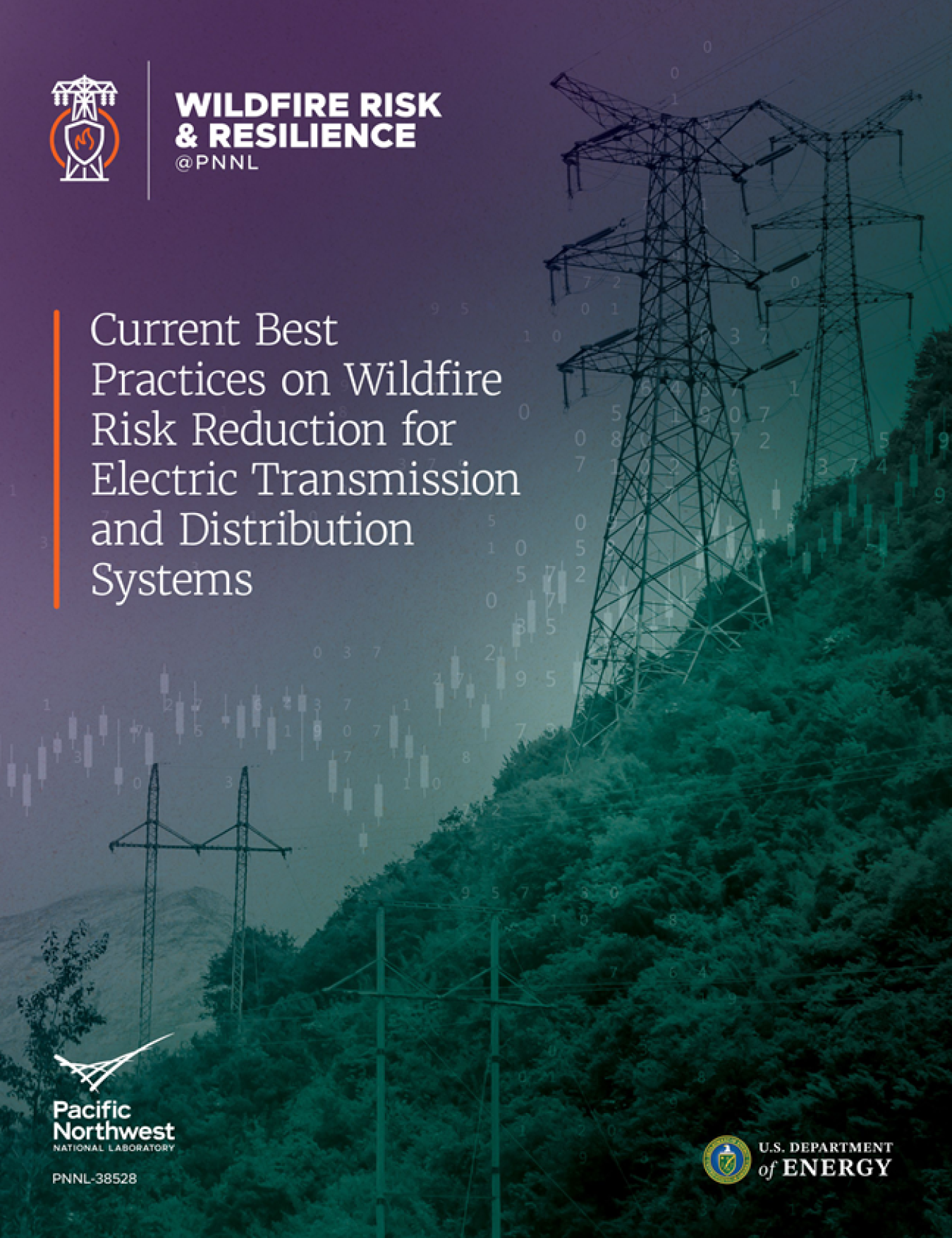 Cover of Current Best Practices on Wildfire Risk Reduction for Electric Transmission and Distribution Systems