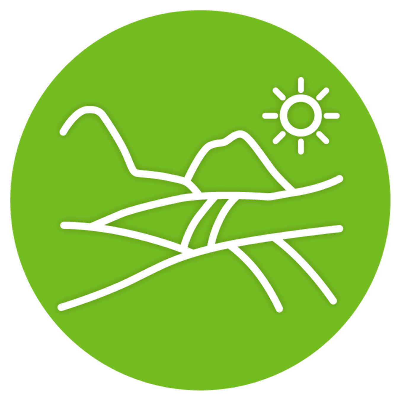 Green Icon of Strategic Roadmaps of Interconnection Solutions