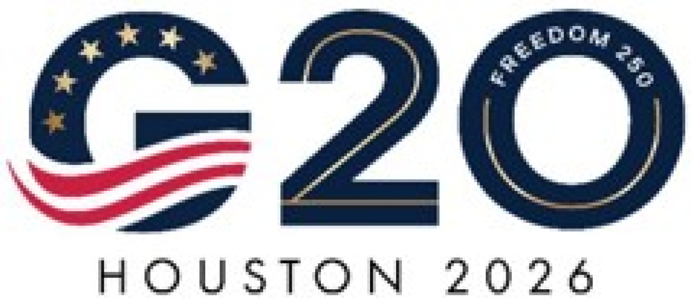 G20 Flag logo