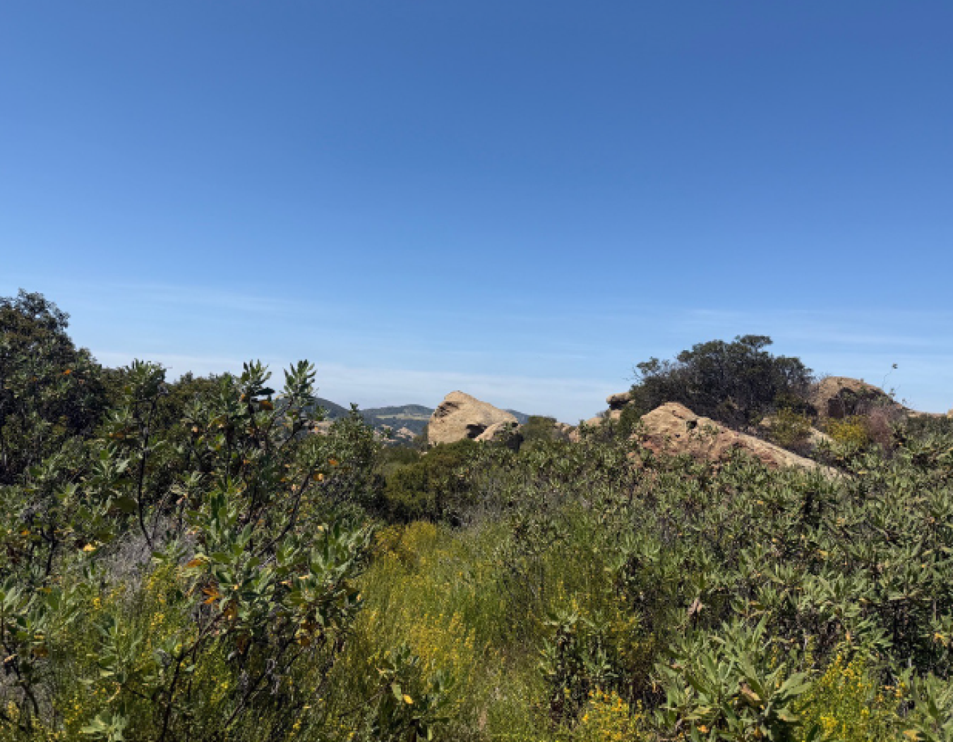 SSFL Landscape