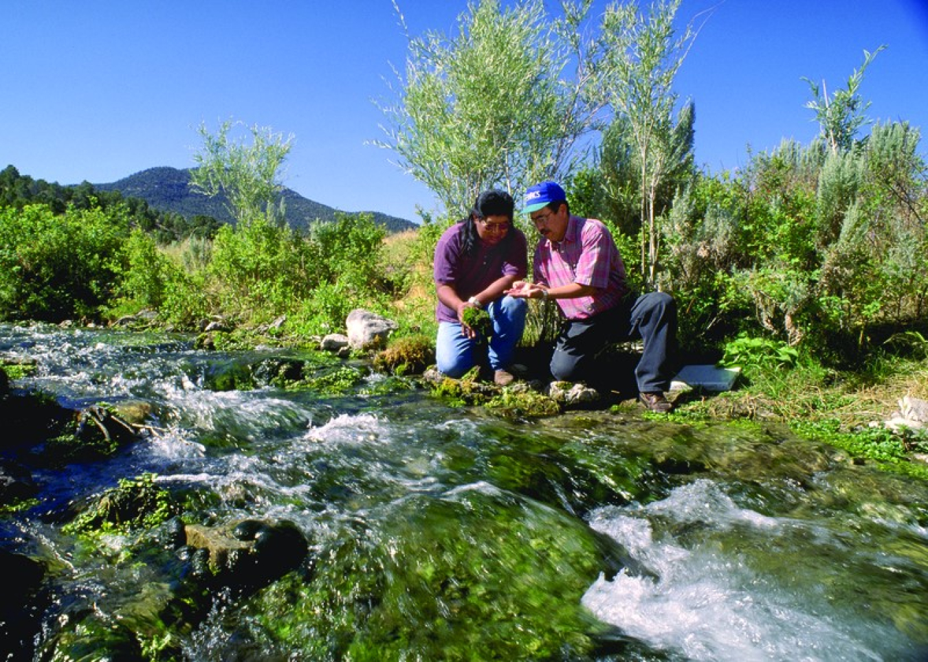 Image related to Bioenergy Career Map: Natural Resources Management Specialist