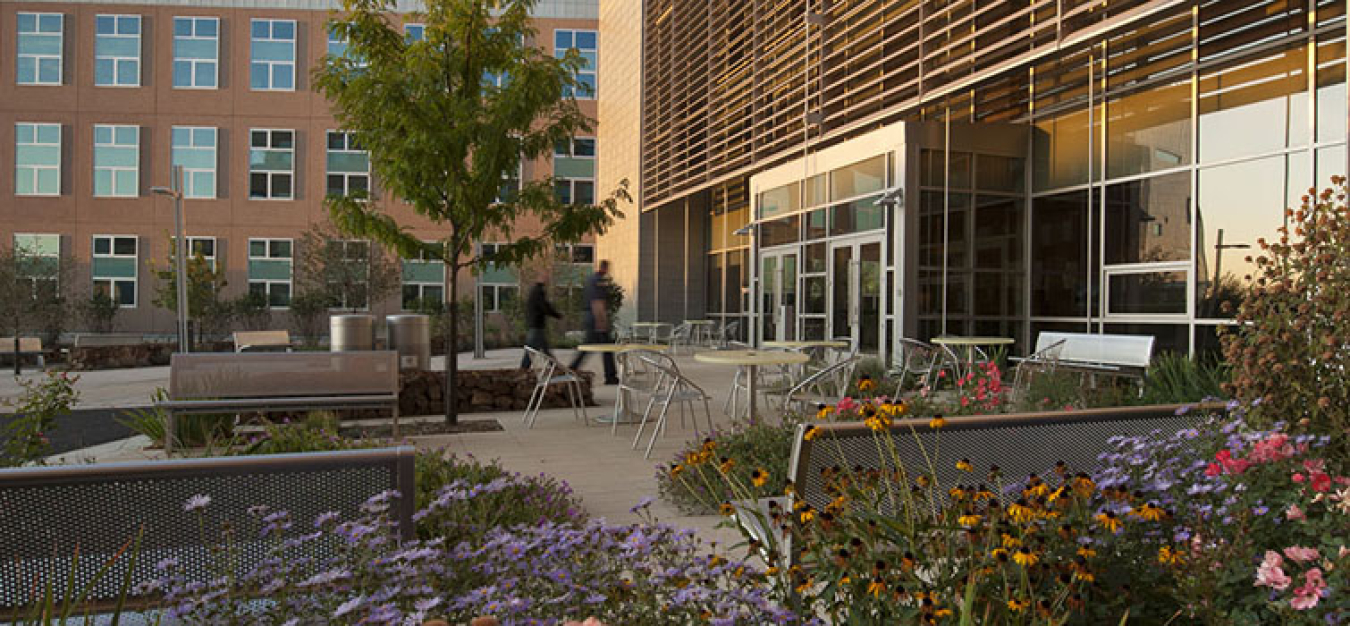 Image related to Best Management Practice #4: Water-Efficient Landscaping