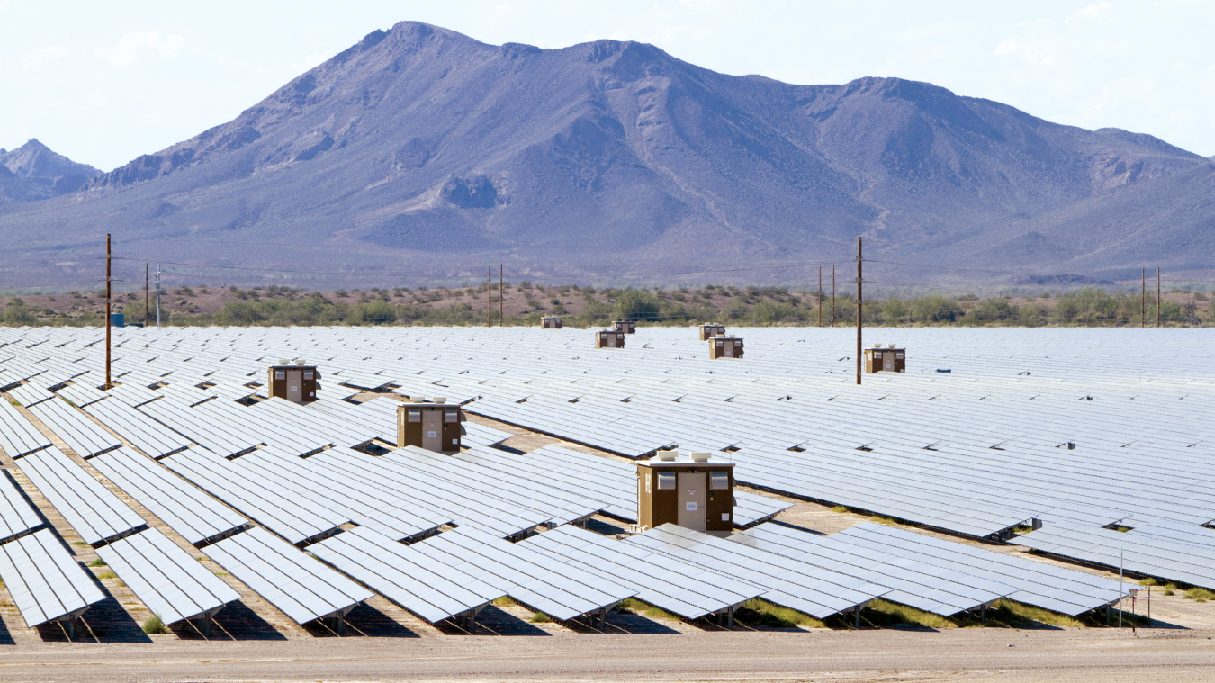 Agua Caliente Plant[1].jpg