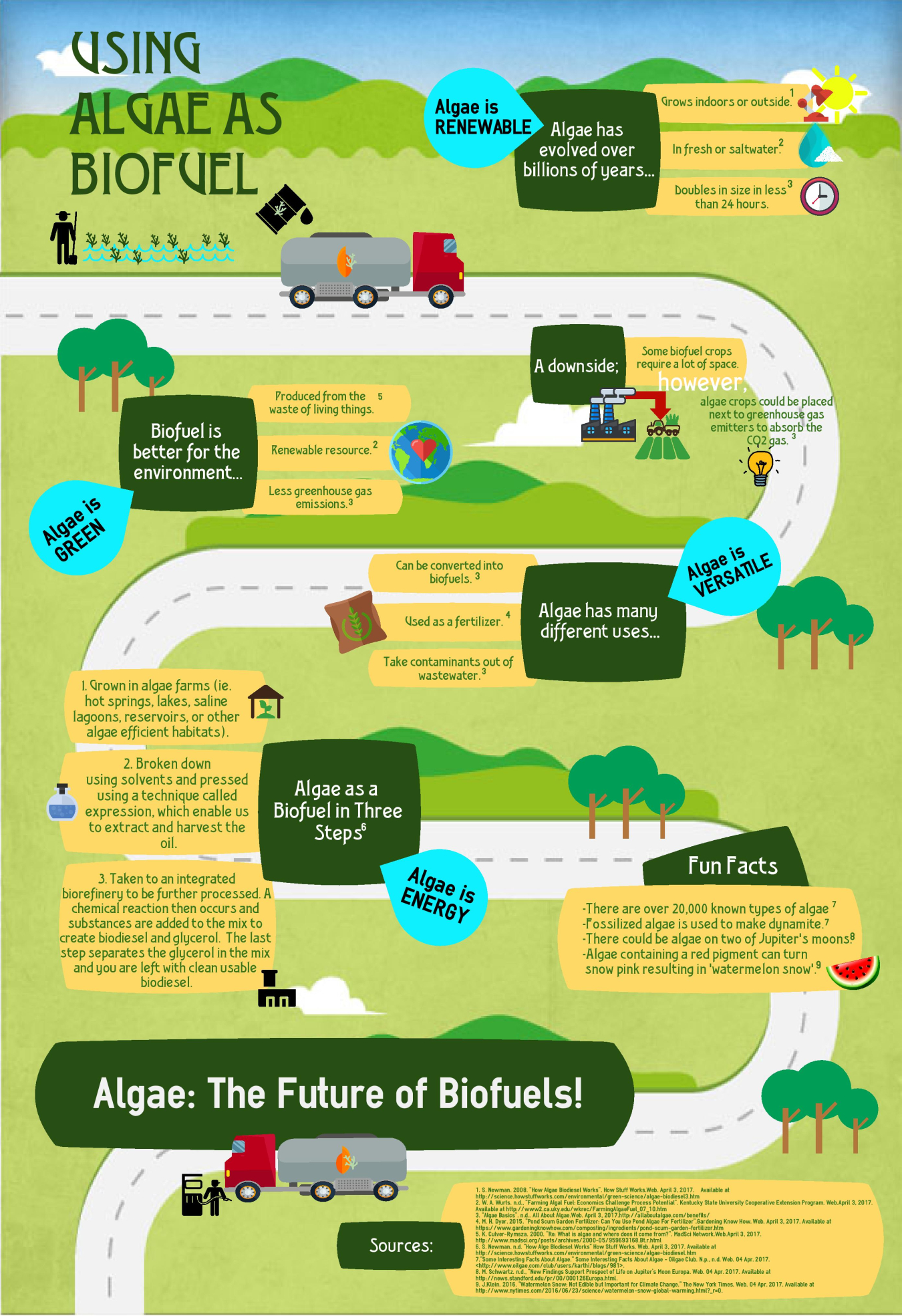 This infographic was created by students from South Sevier High School in Monroe, UT, as part of the U.S. Department of Energy-BioenergizeME Infographic Challenge. The BioenergizeME Infographic Challenge encourages young people to improve their foundation