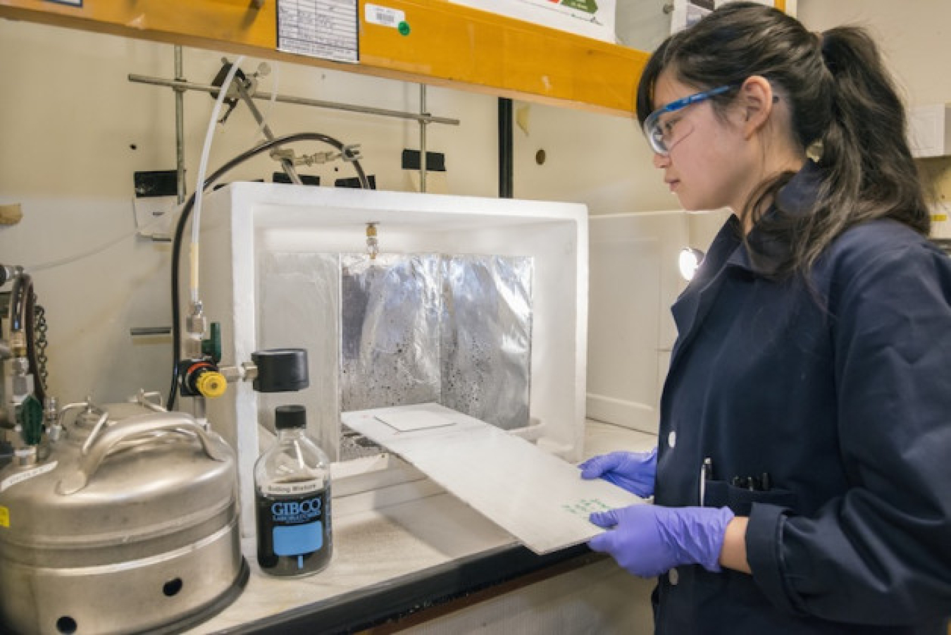 Berkeley Lab research associate Sharon Chen sprays roofing material with soiling mixture.