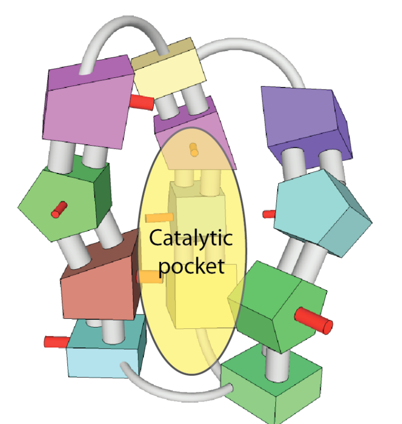 Catalytic Pocket.png