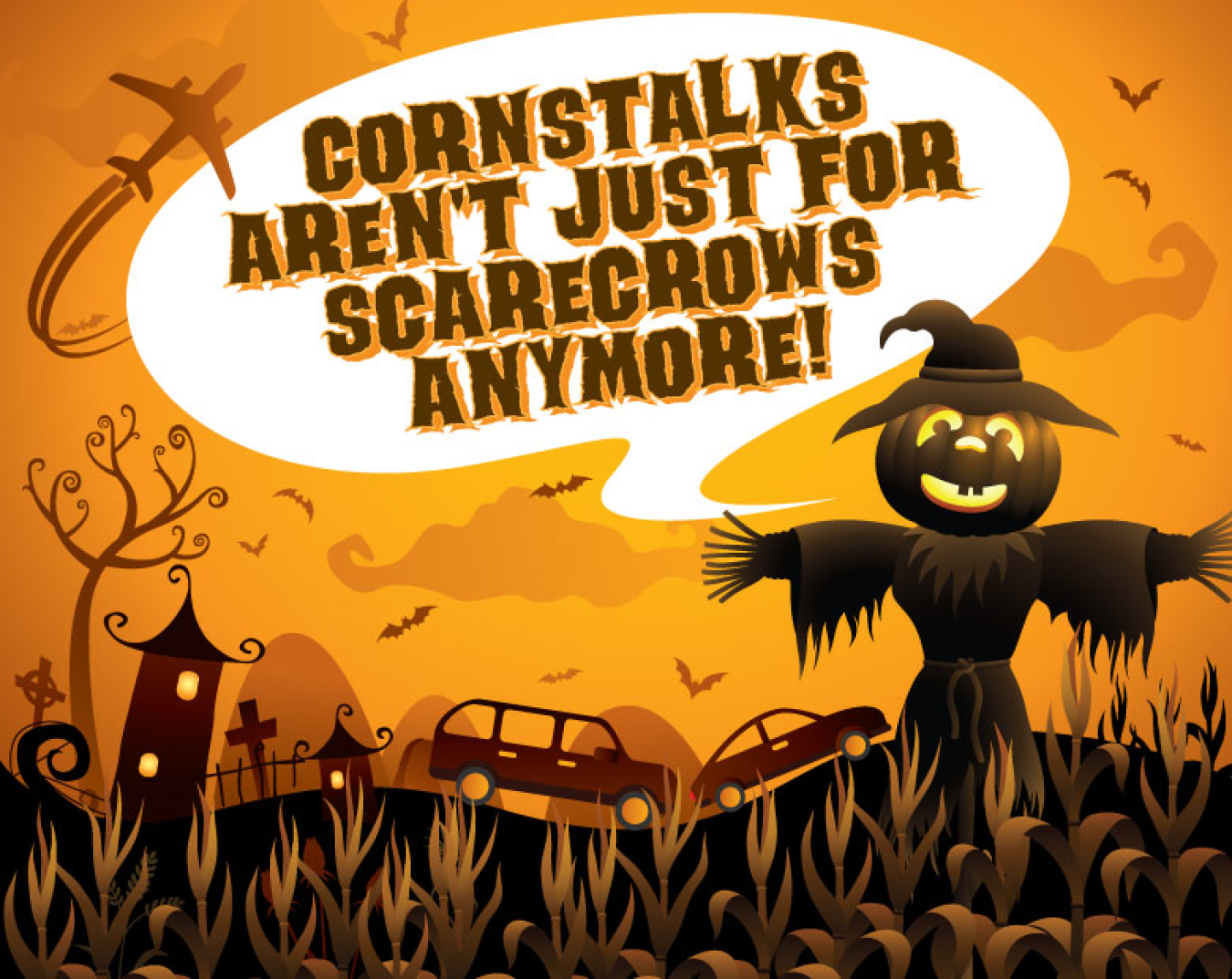 Cornstalks_banner3.jpg