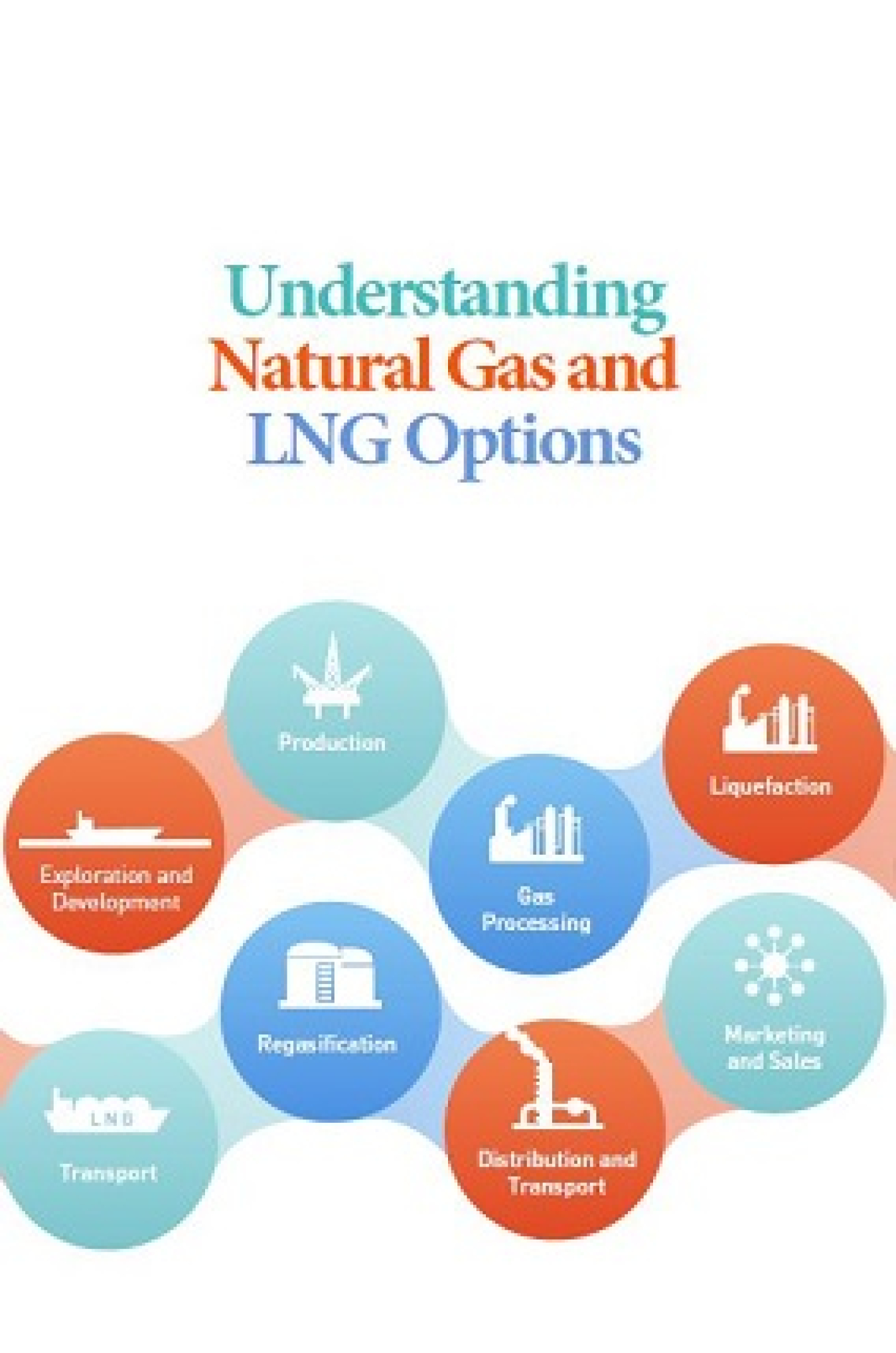 "Understanding Natural Gas and LNG Options" Handbook Cover Page 