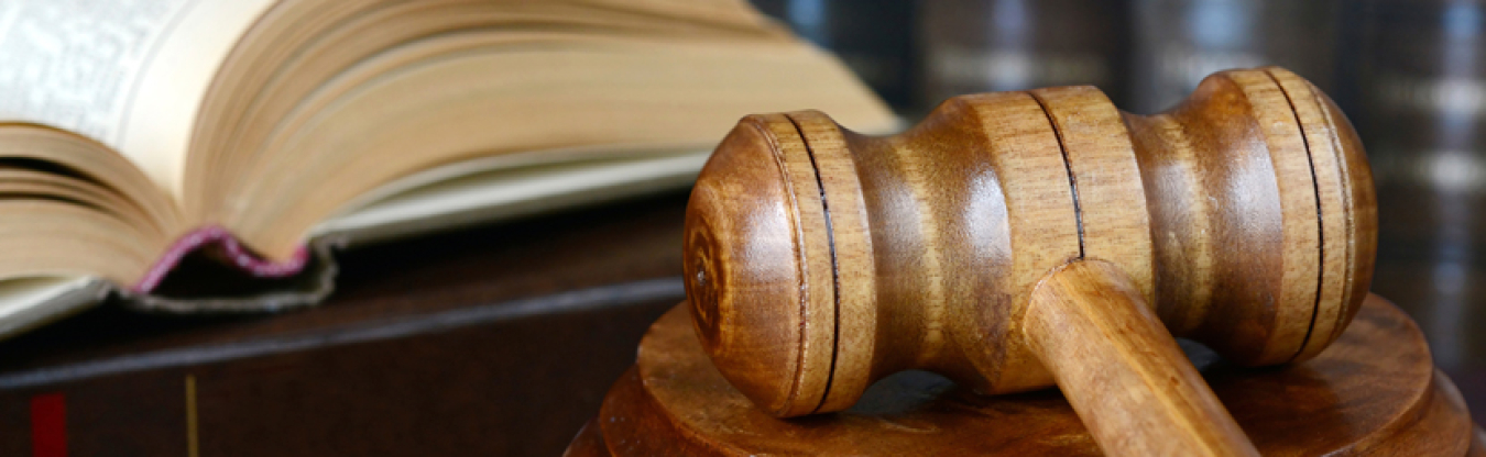 Image related to Environment and Litigation