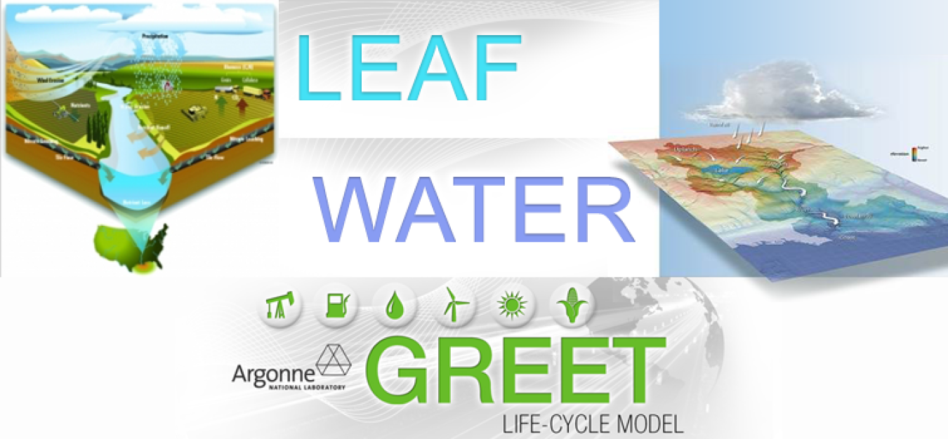 GreetWaterLeaf.png