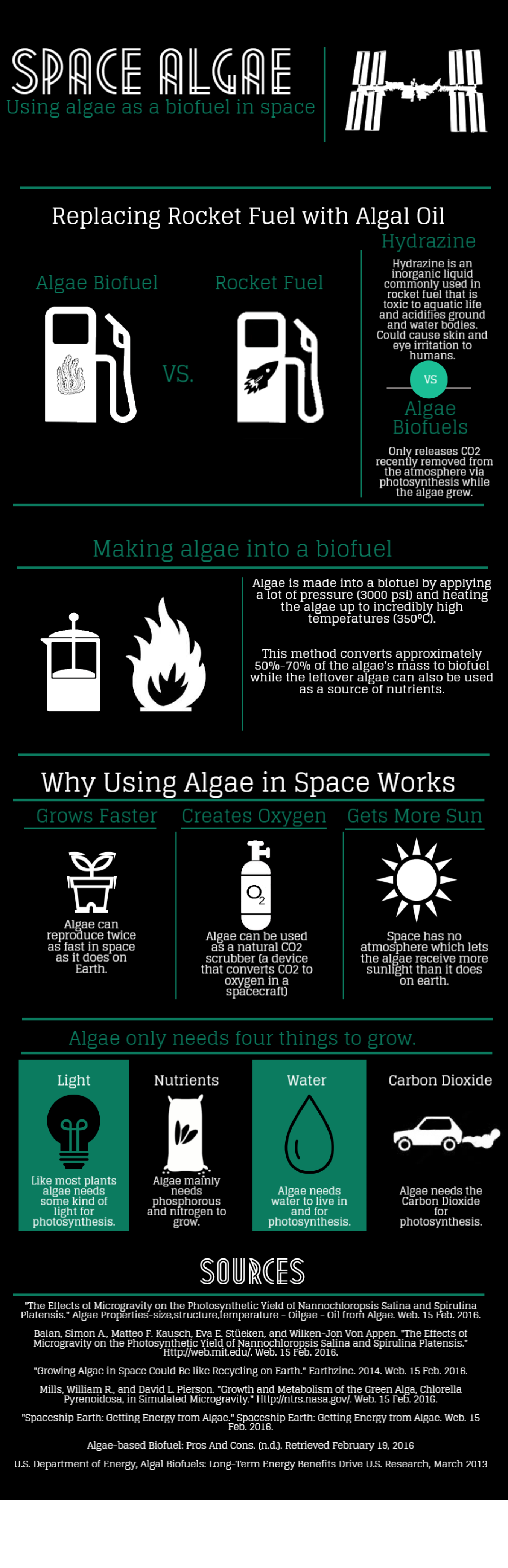 Griggs_Space Algae.png