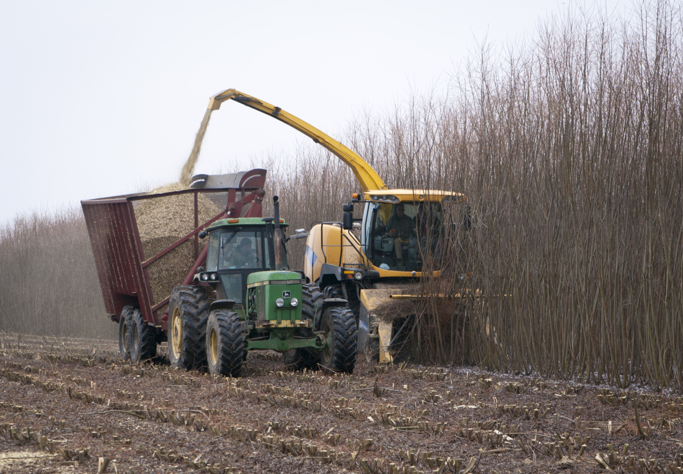 Harvester Cane Wagon.jpg
