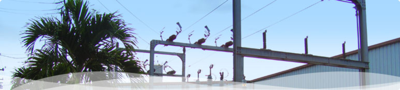 Hawaii solar 5.jpg