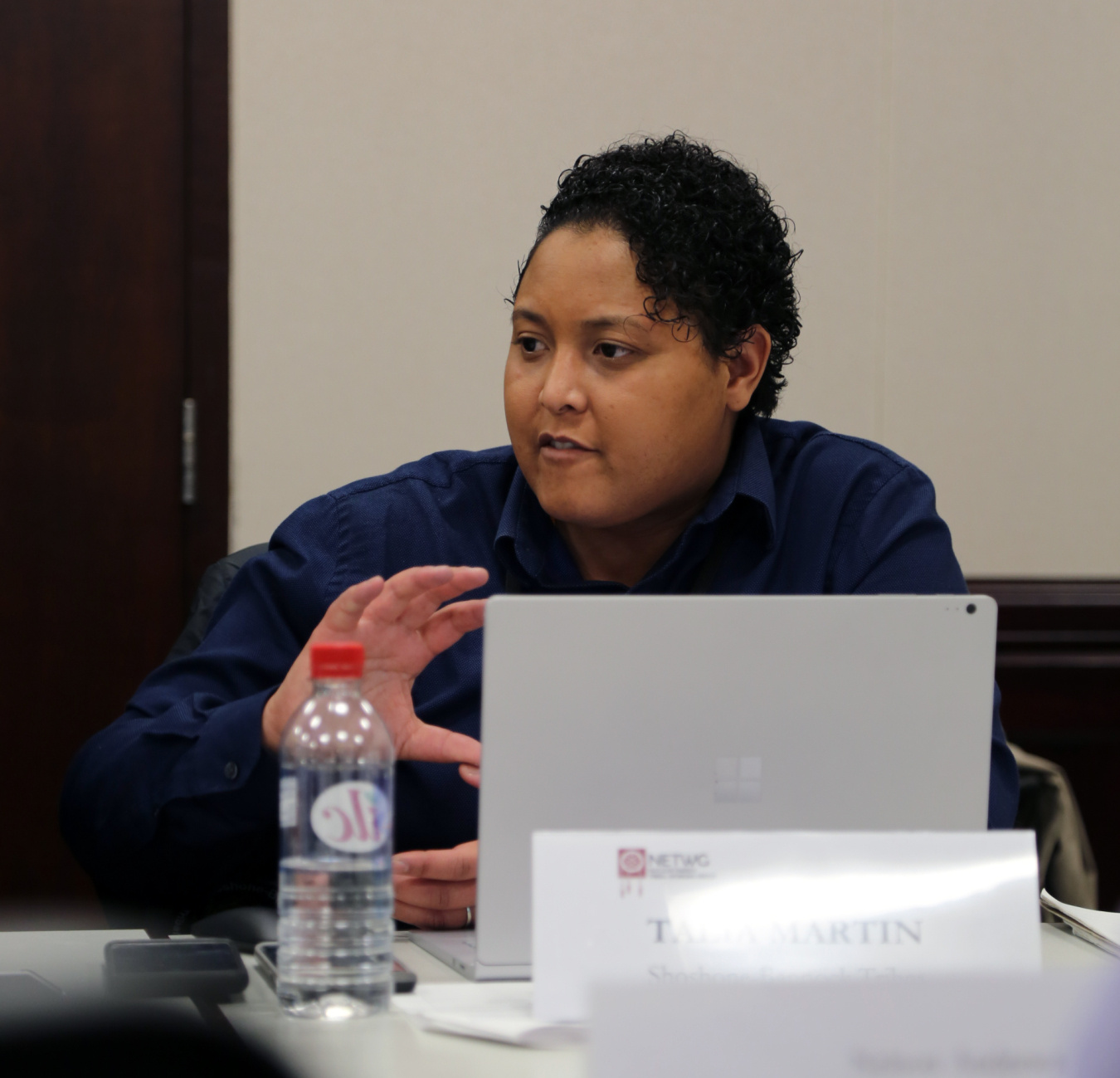A NETWG member speaks during the second quarter meeting at the U.S. Department of Energy.