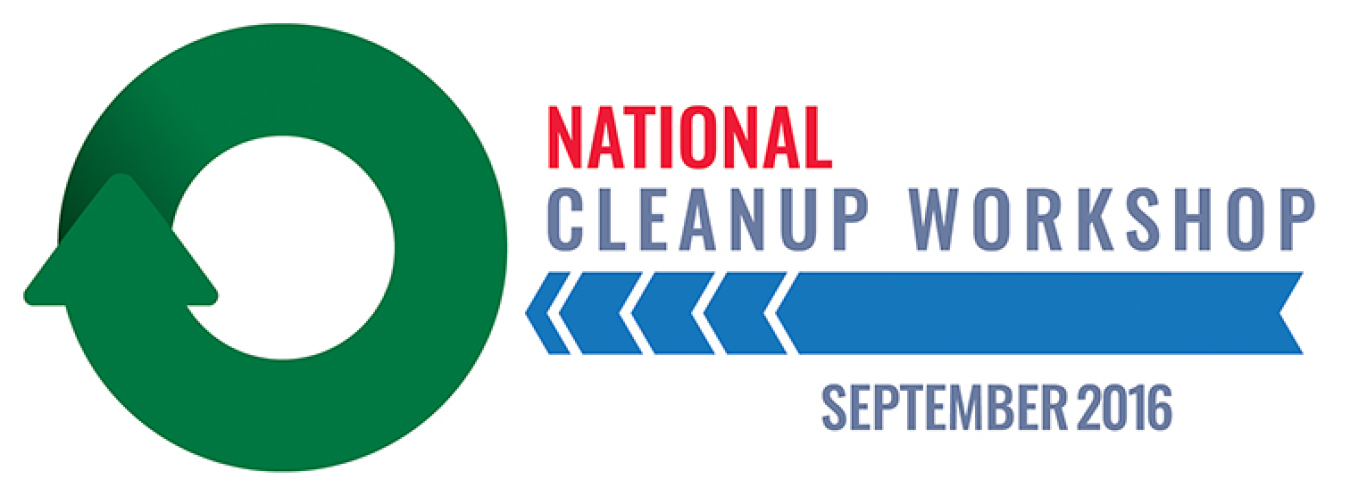 NationalCleanupWorkshop_756px.jpg