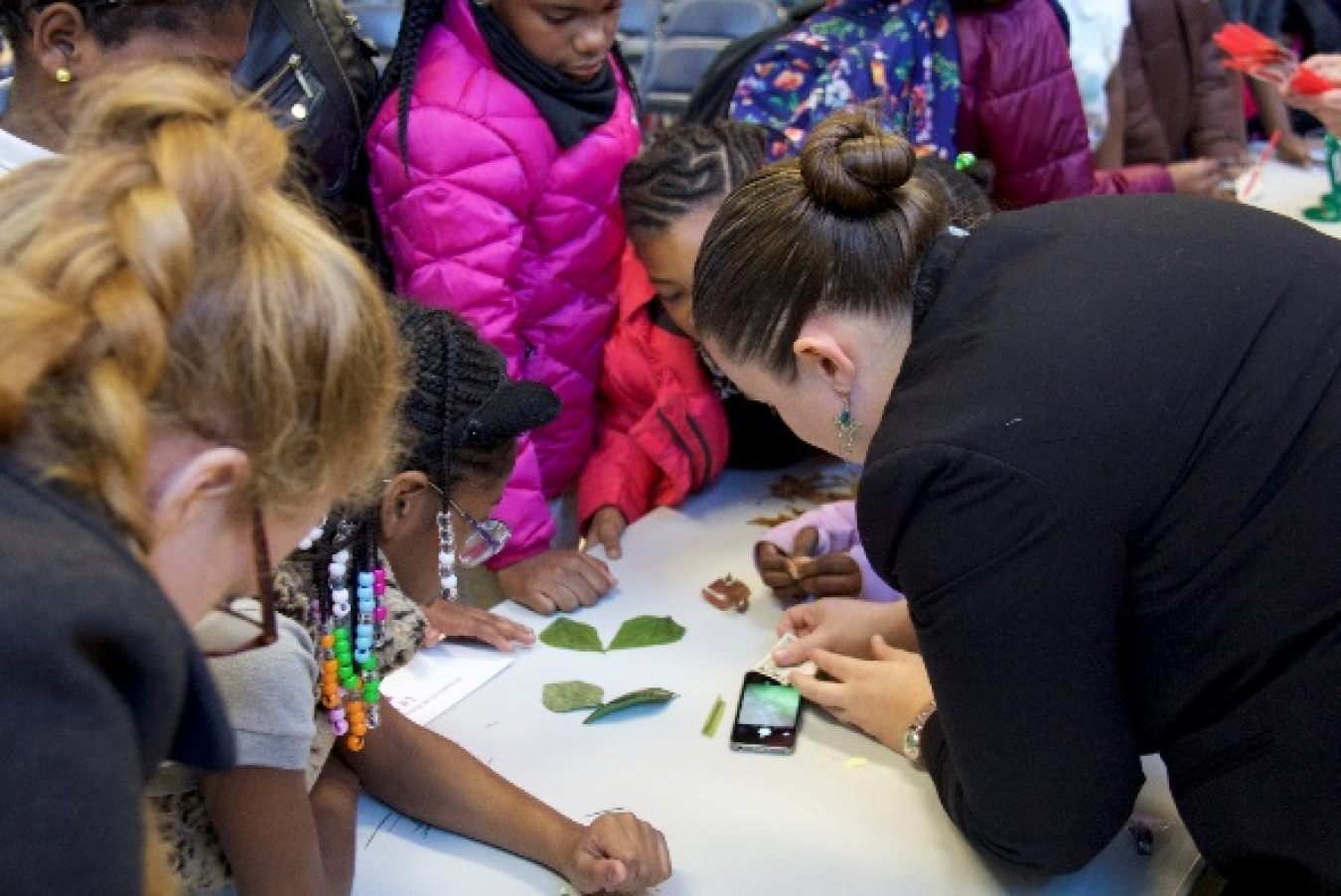 STEM activity using smartphone microscope.