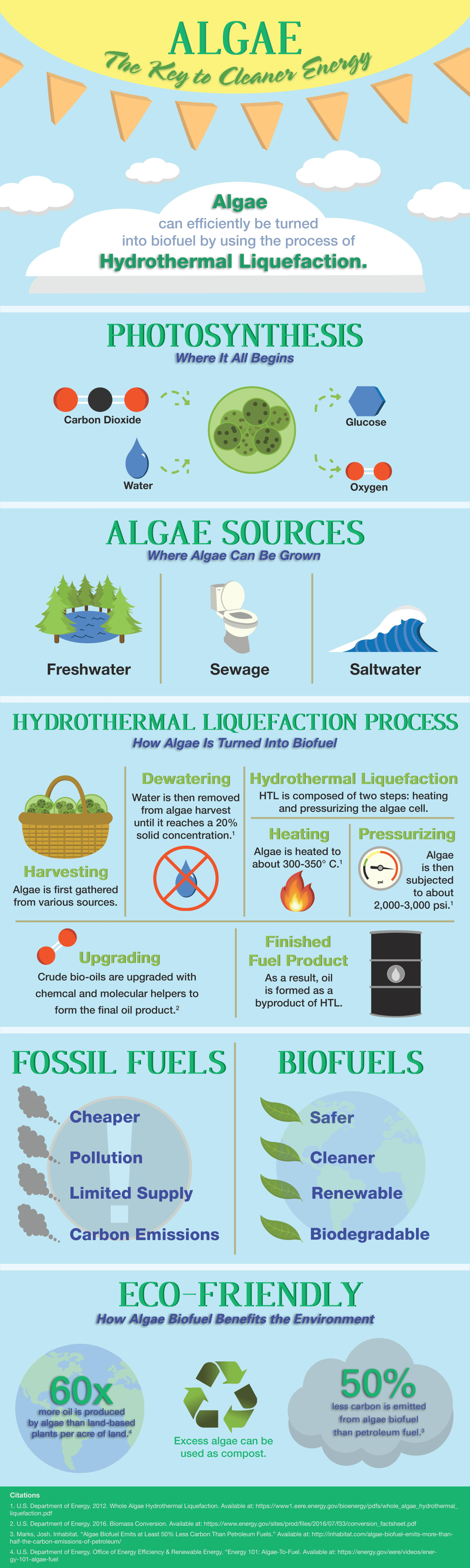 This infographic was created by students from Diman Regional Vocational Technical High School in Fall River, MA, as part of the U.S. Department of Energy-BioenergizeME Infographic Challenge. The BioenergizeME Infographic Challenge encourages young people 