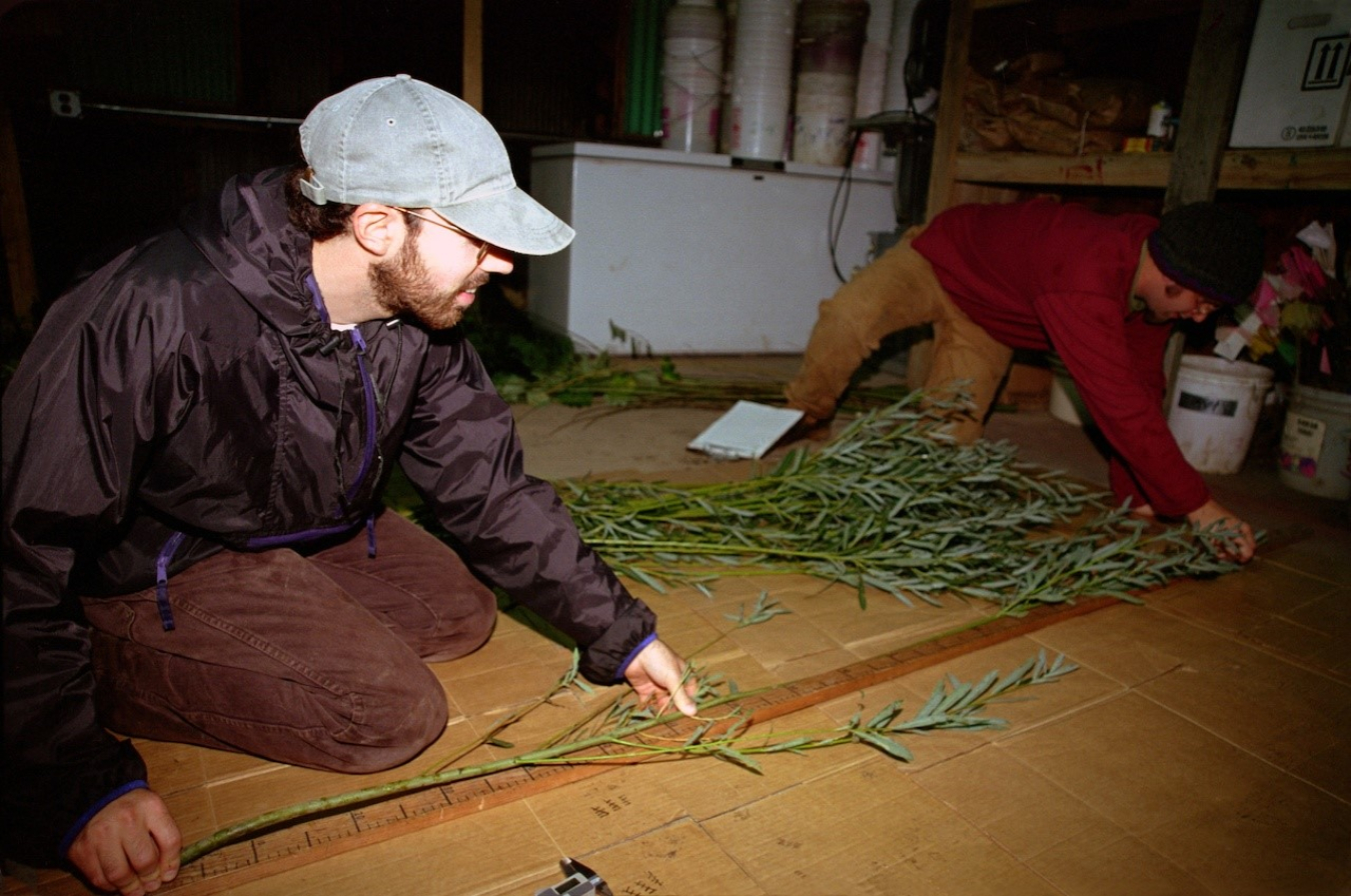 Image related to Bioenergy Career Map: Plant Sciences Technician
