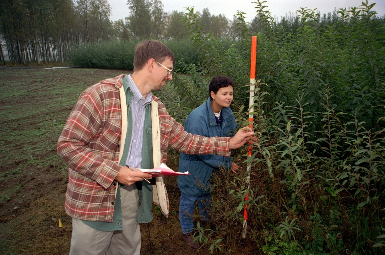 Image related to Bioenergy Career Map: Plant Scientist