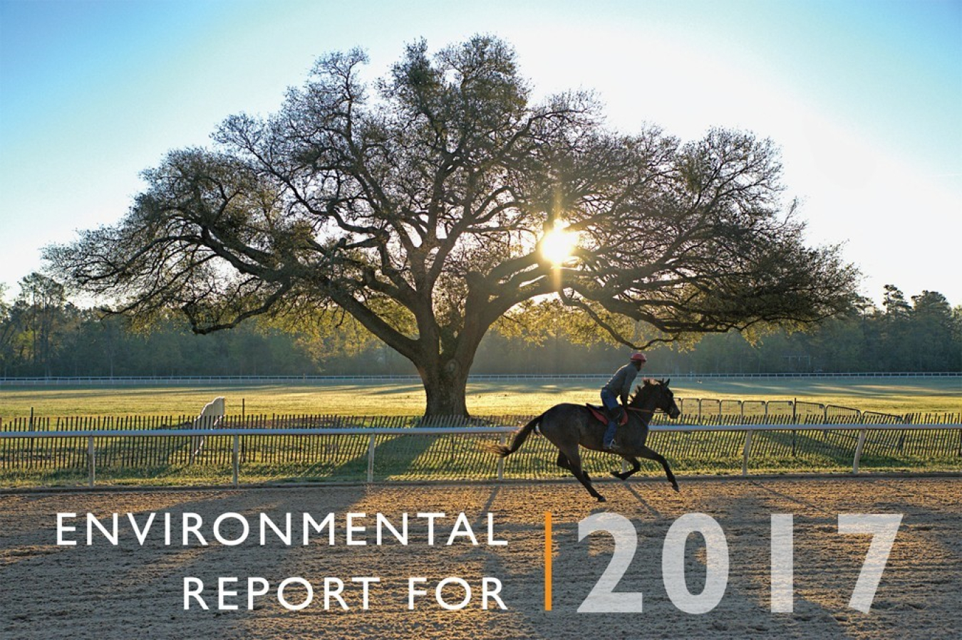 Environmental Report For 2017 Cover Photo