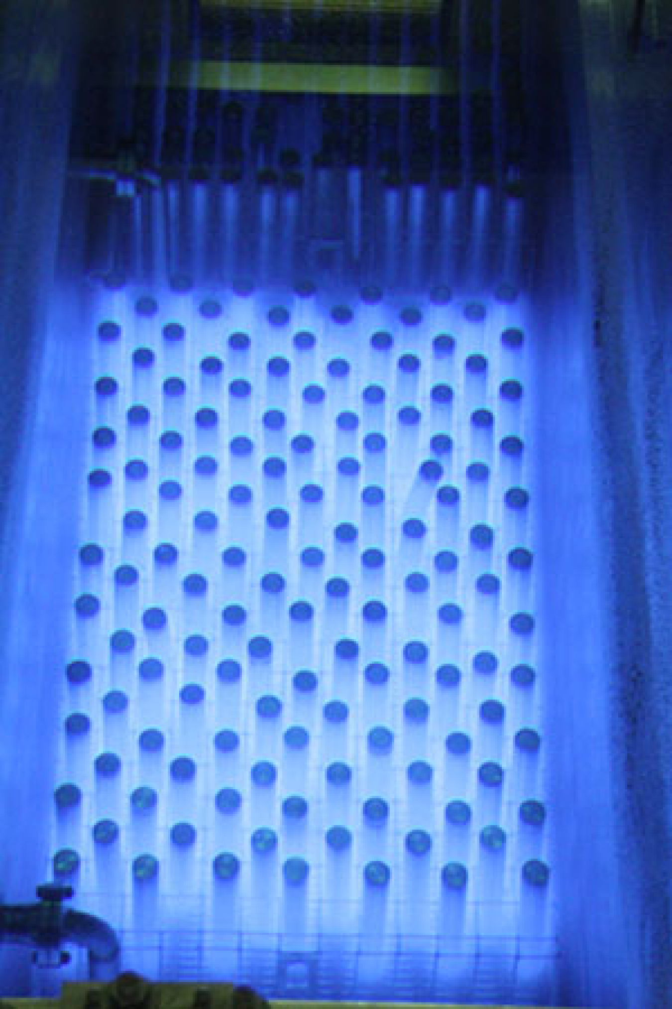 WESF Capsules_300 pixels.jpg