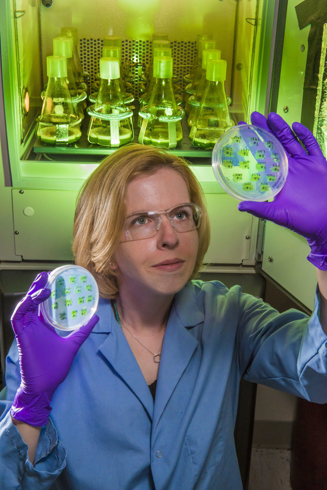 algae_sandia national labs flickr.jpg