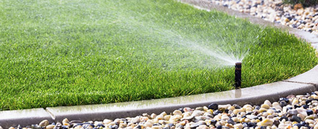 Mist Irrigation System: The Key to Efficient Watering