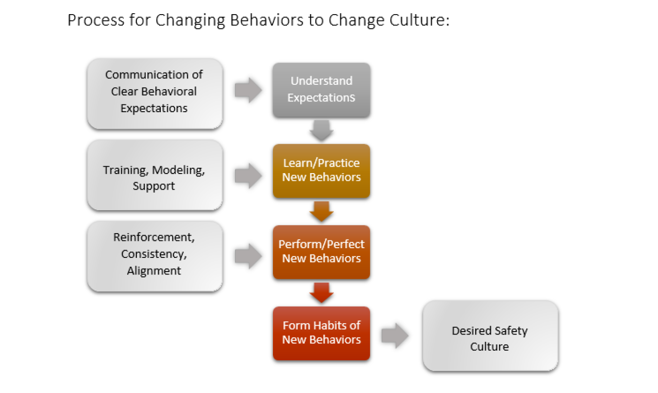 Image related to Training