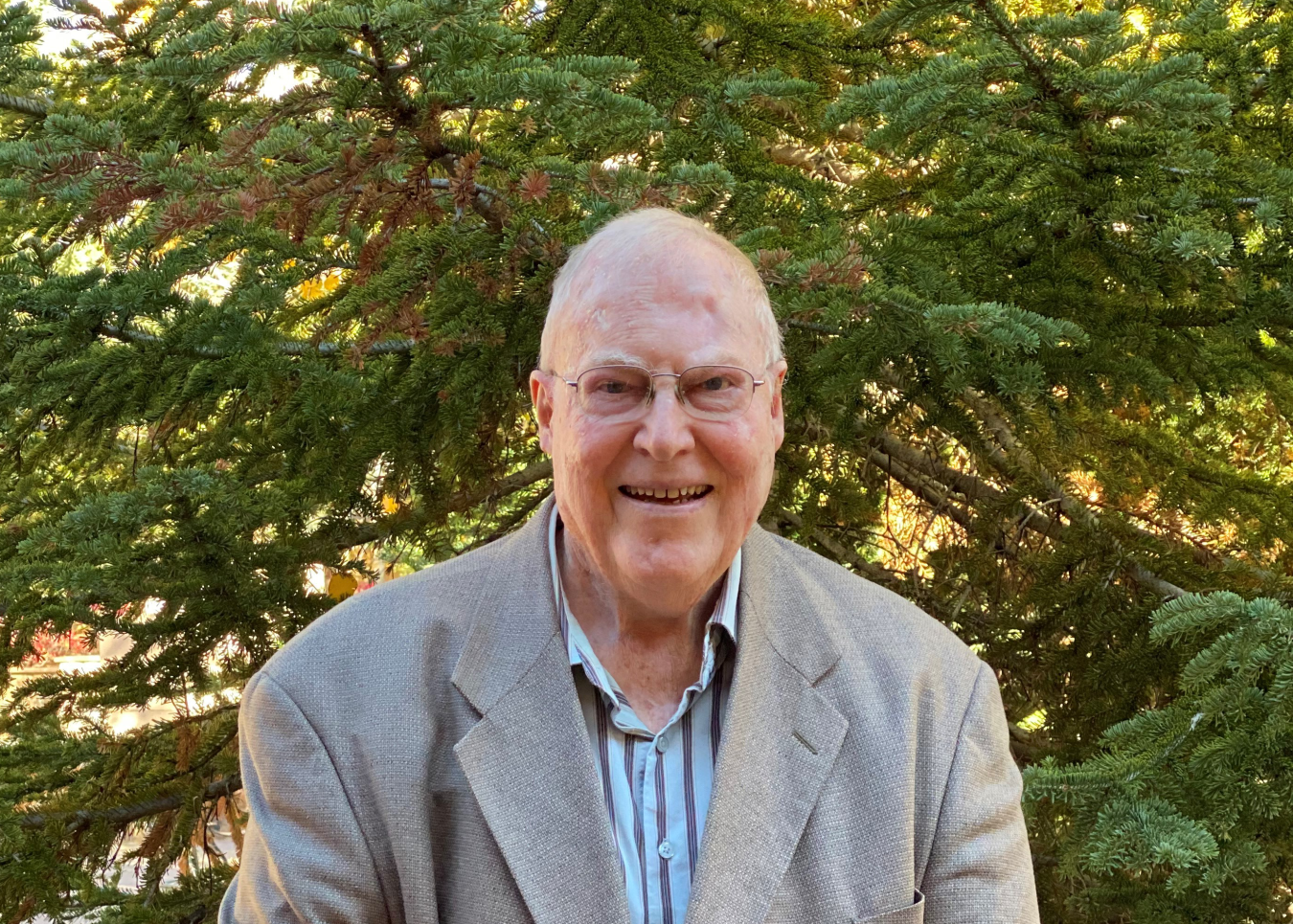 Dick Meservey, ICP CAB Member