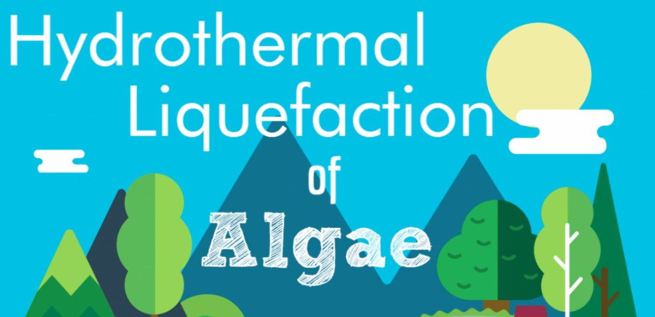 Image related to BioenergizeME Infographic Challenge