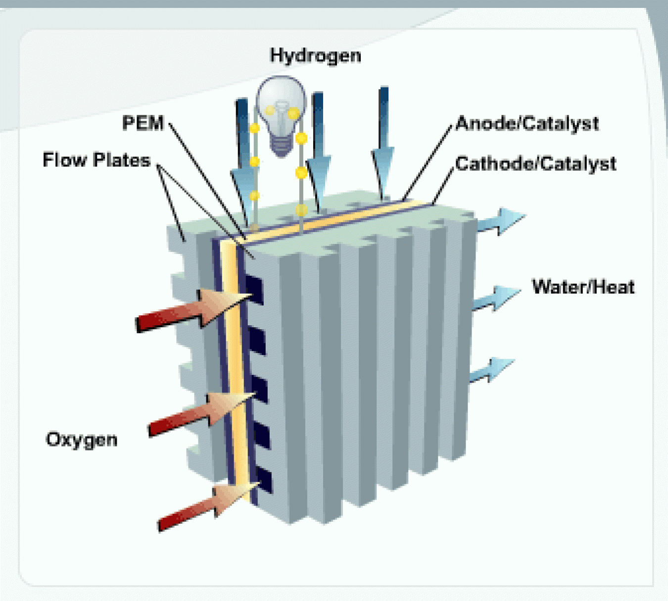 Fuel cell inputs and outputs. Hydrogen input on top, oxygen input in front, water/heat outputs in back, electrical circuit going around the top, PEM in center, cathode/catalyst right of PEM, anode/catalyst left of PEM, flow plates sandwiching PEM/catalyst