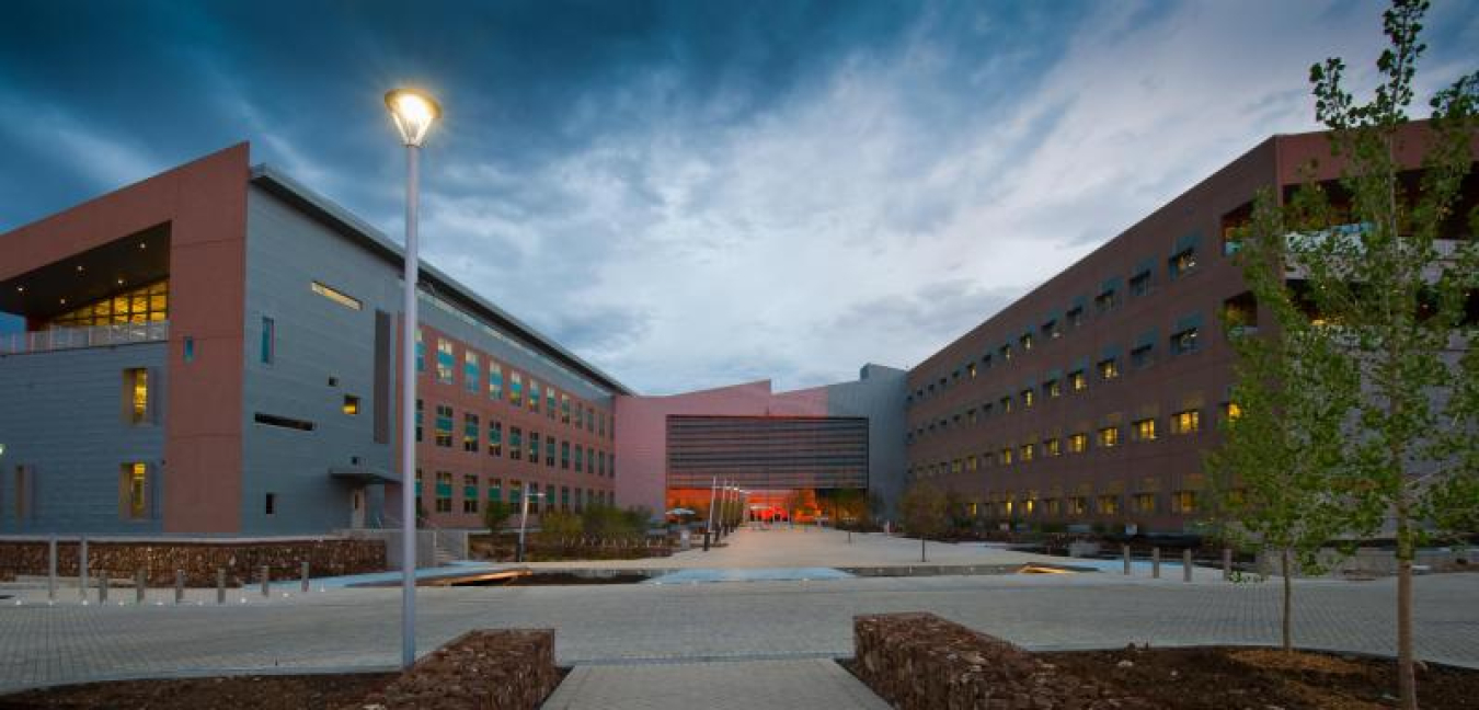 RSF 1 front view at sun up Feb 2011.jpg