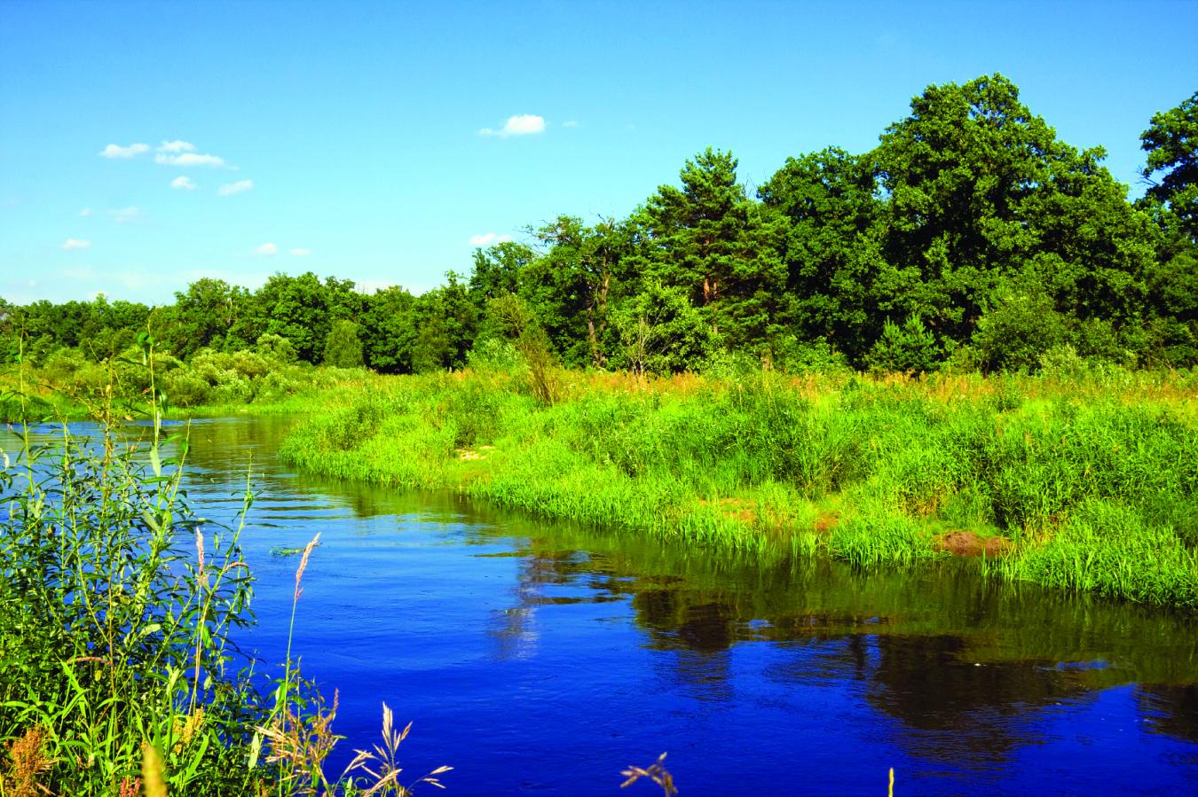 Image related to BETO-Funded Study Offers Methods to Support a Water-Resource Bioenergy Industry