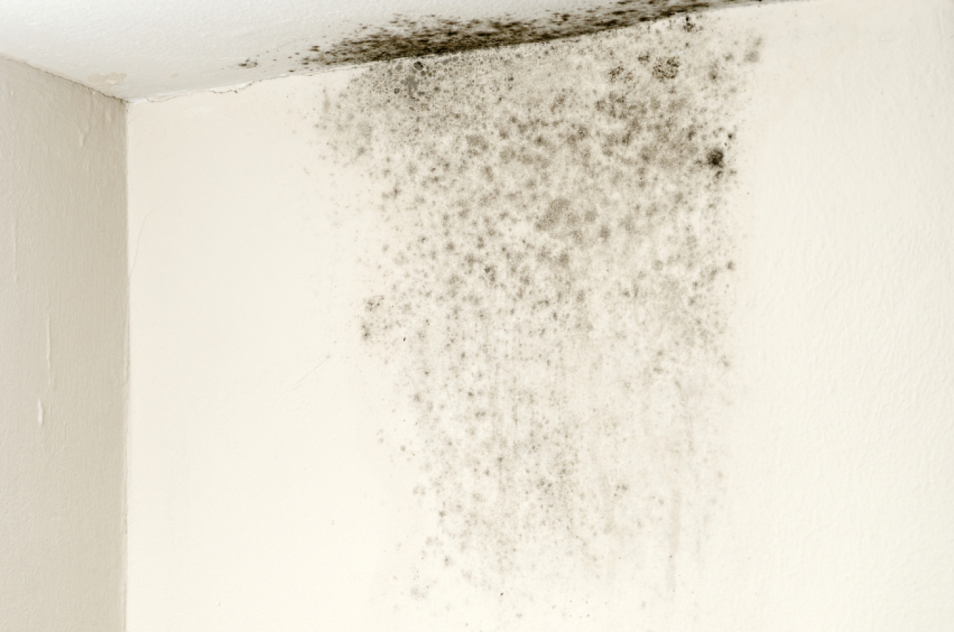 Image related to Moisture Control
