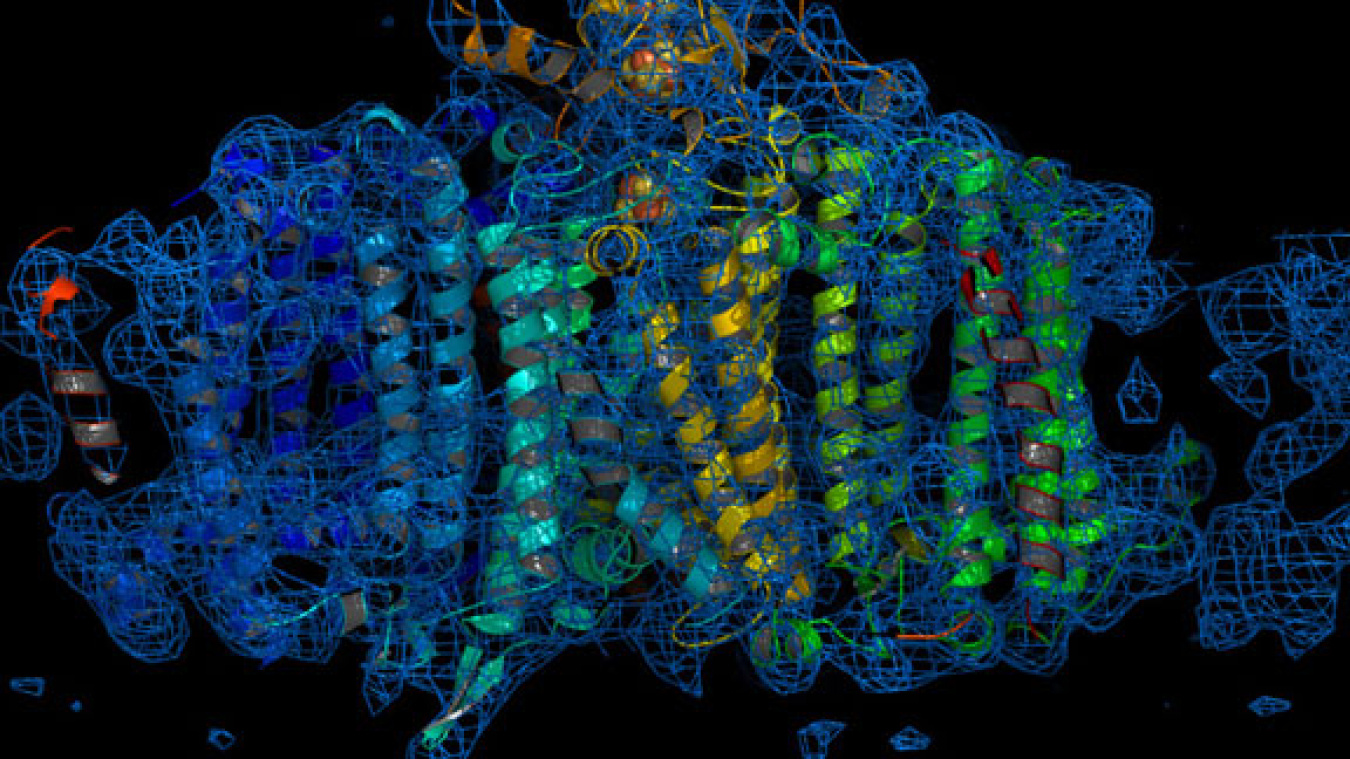 A reconstructed image of the Photosystem I complex.