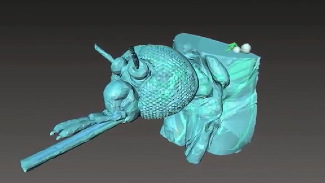 An image of the outside of a mosquito as it uses the pumping system in its head to drink. Scientists captured the image using the Advanced Photon Source, an extremely powerful X-ray.