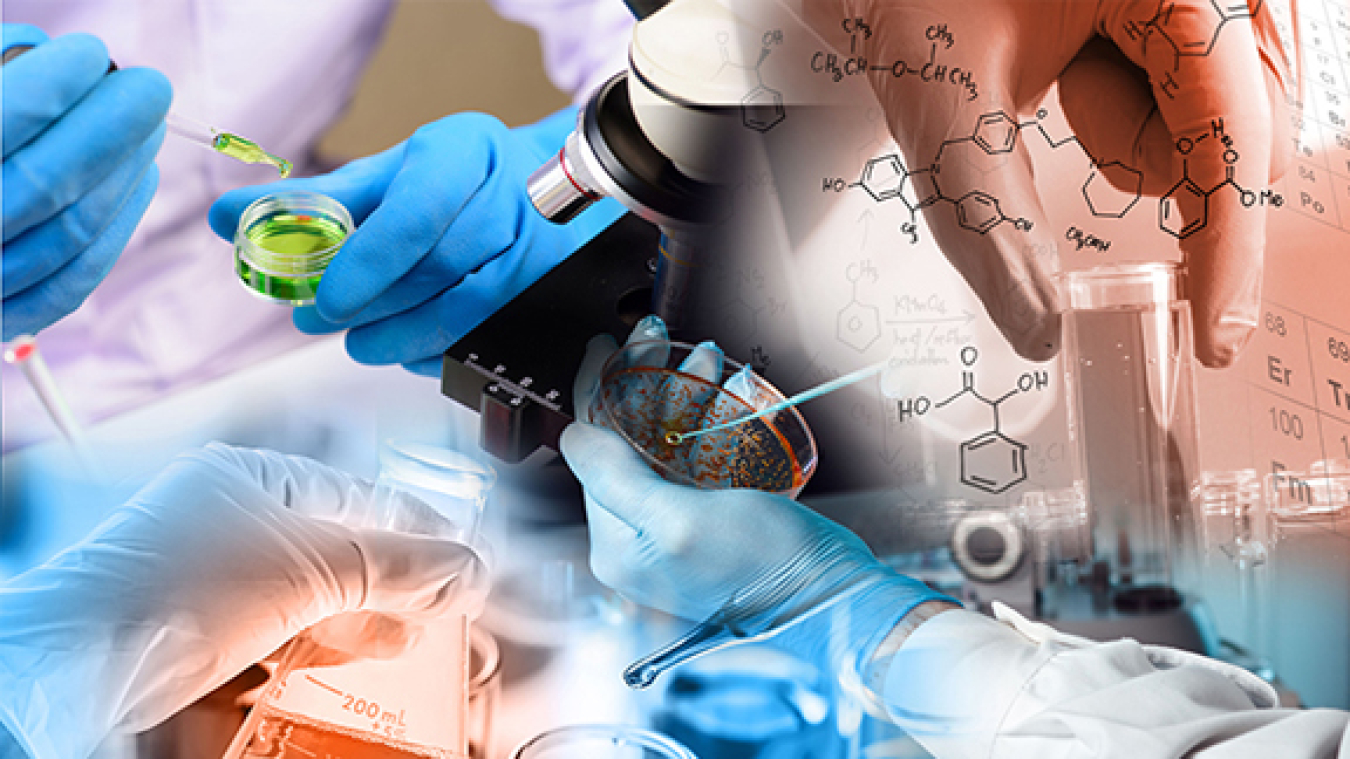 Together, microbiologists, computational biologists, electrochemists, inorganic chemists, biochemists, theorists, and bio-engineers learn how electron bifurcation works.