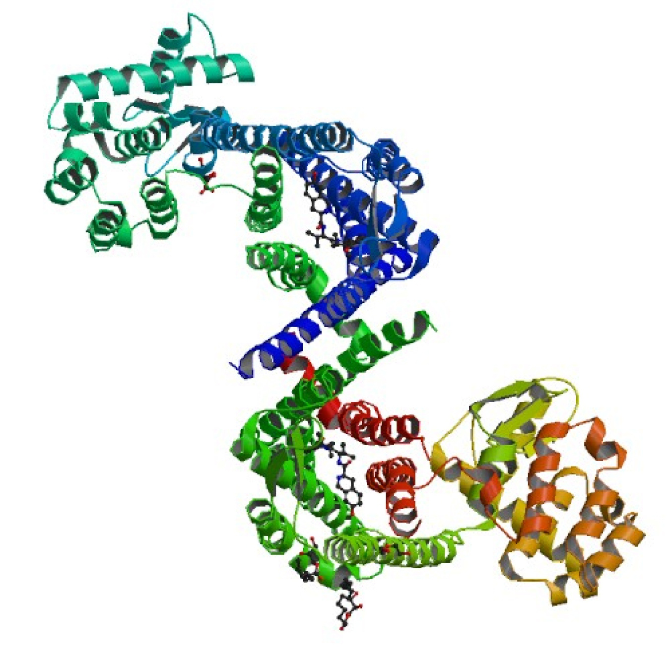 Structure of the human kappa opioid receptor in complex with JDTic 