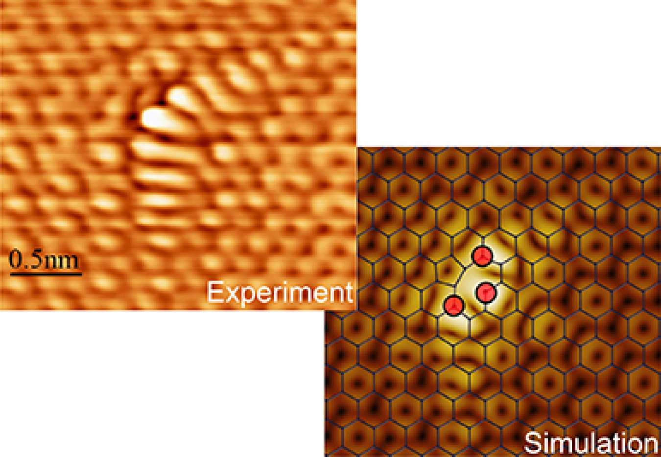 Experimental observations (left) confirm theory-based simulations (right) of boron-doped graphene. Boomerang-shaped atomic features revealed in a centimeter-wide sheet of boron-doped graphene are associated with enhanced sensitivities for nitrogen dioxide