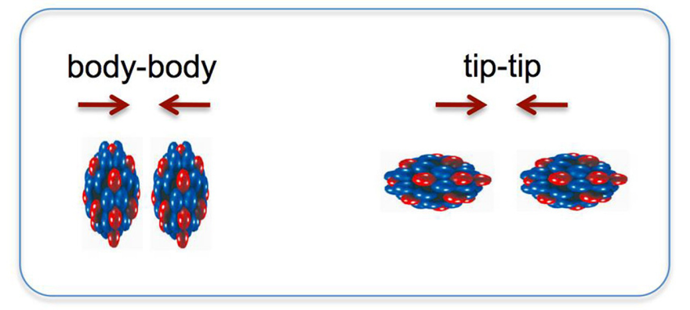 Colliding oblong uranium ions oriented body-to-body and tip-to-tip gives scientists a way to sort out the impact of the shape of the collision zone on their observations of particle behavior.